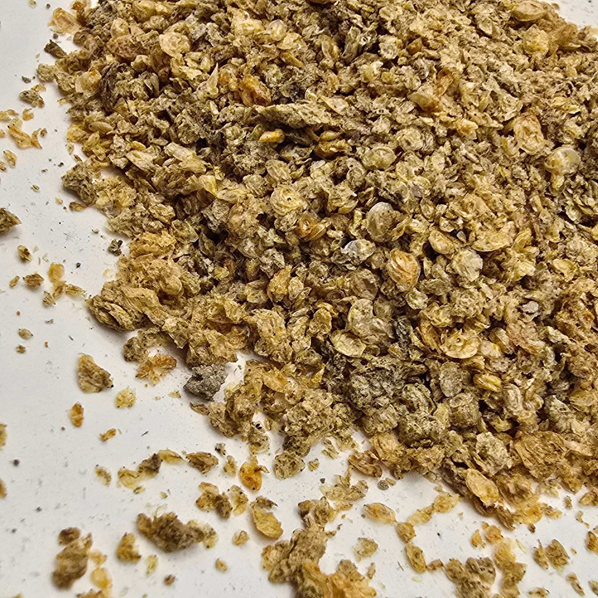 Dried Daphnia